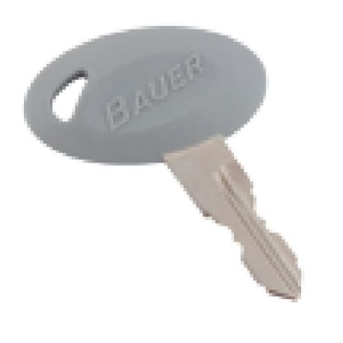Ap Products 013-689718 Key